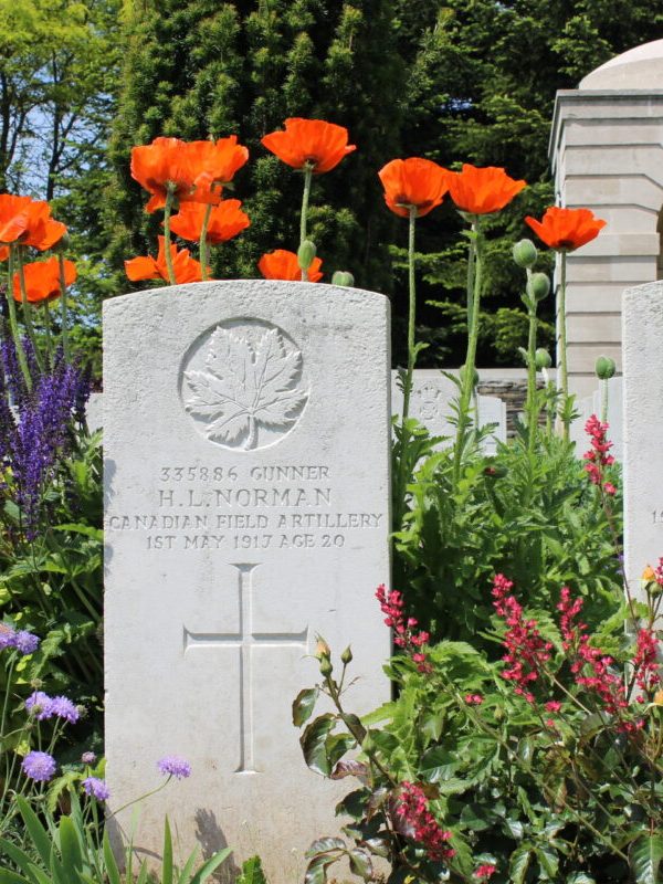 Magnifique cimetière de la CWGC
